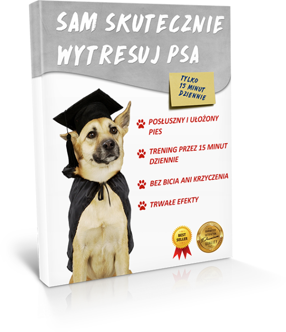 Kup teraz wersja standard